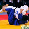 WCPARIS2011 90111